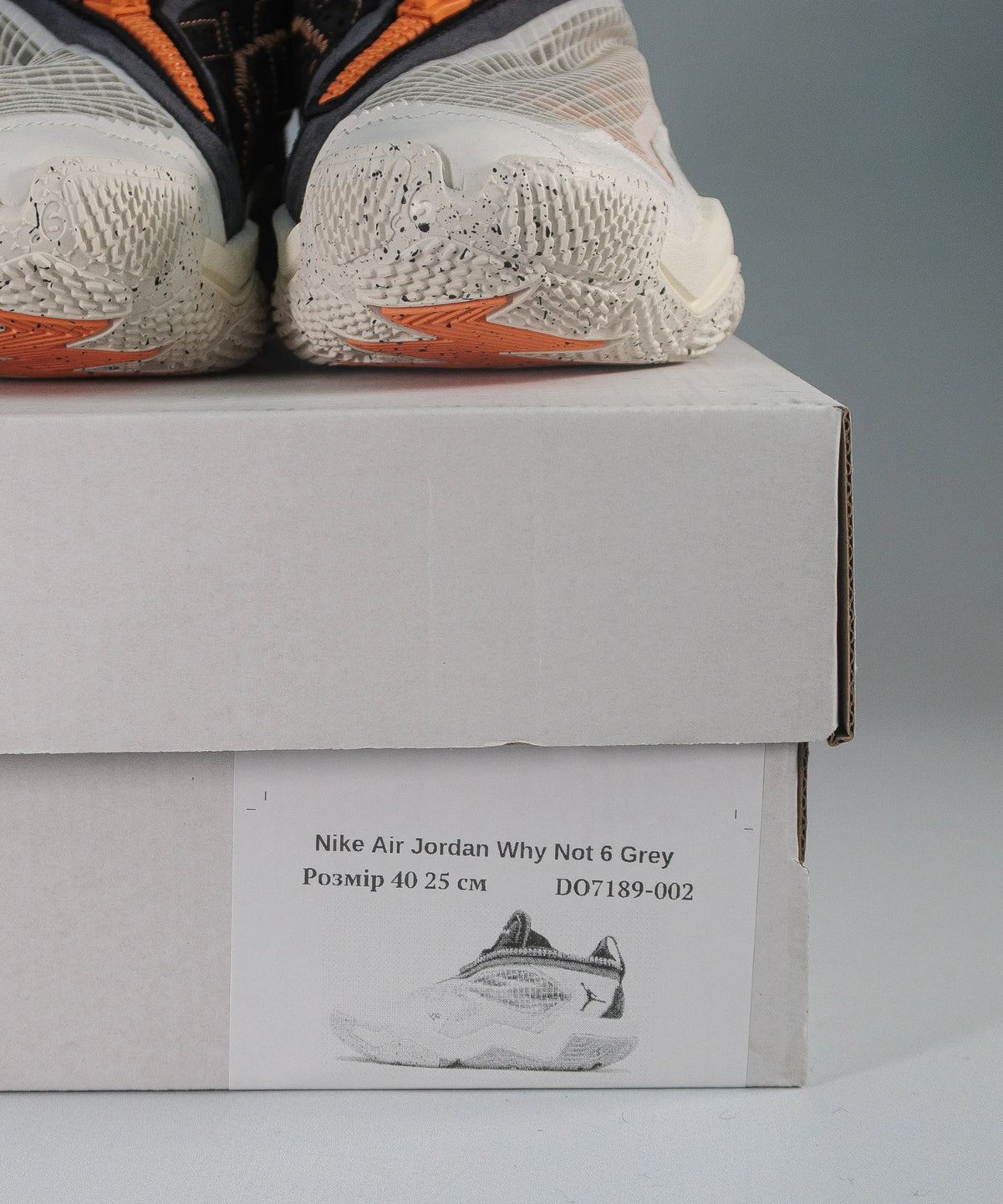 Nike Air Jordan Why Not 6 Grey