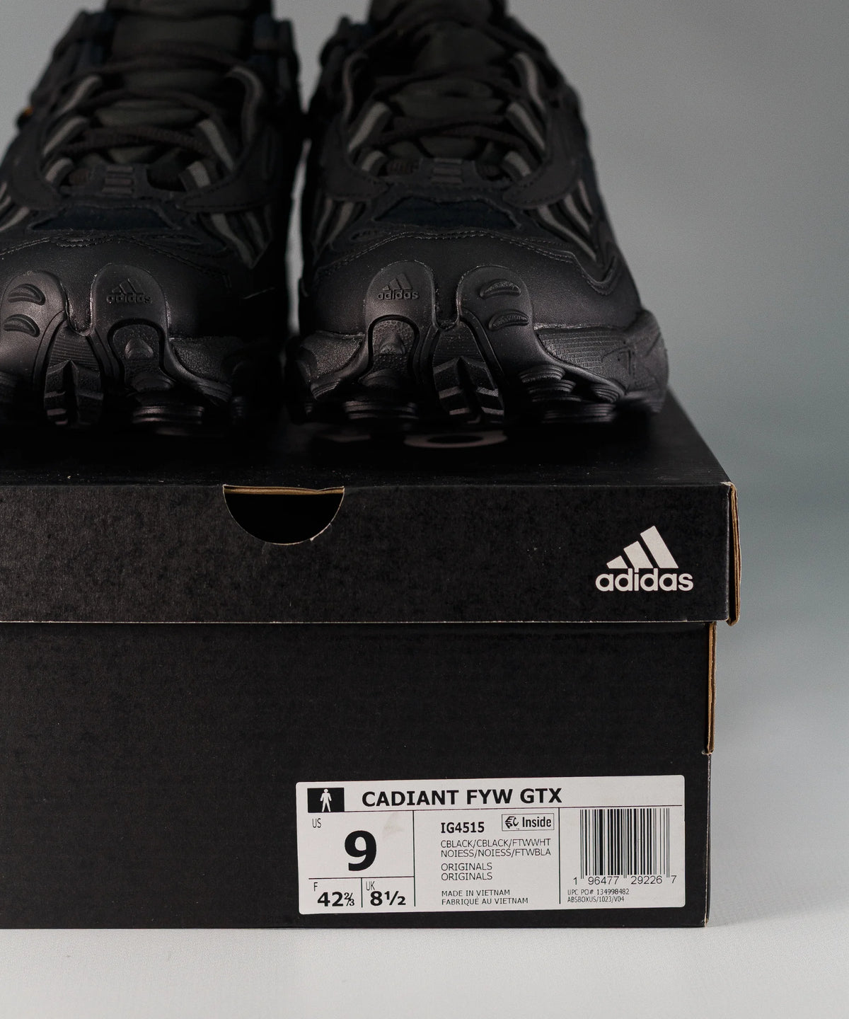 Adidas Cadiant FYW Gore-Tex Full Black
