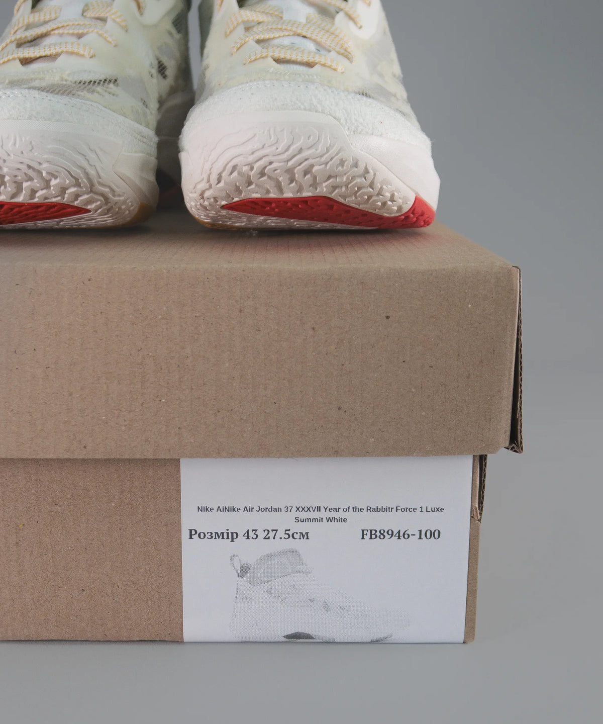 Nike Air Jordan 37 XXXVII Year of the Rabbit