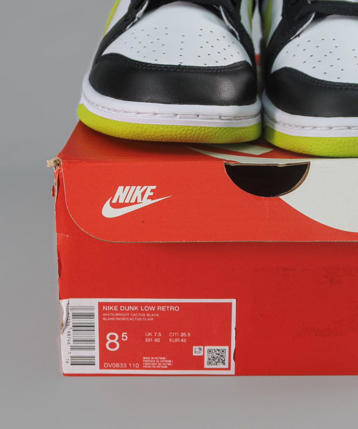 Nike Dunk Low Retro Cactus Green