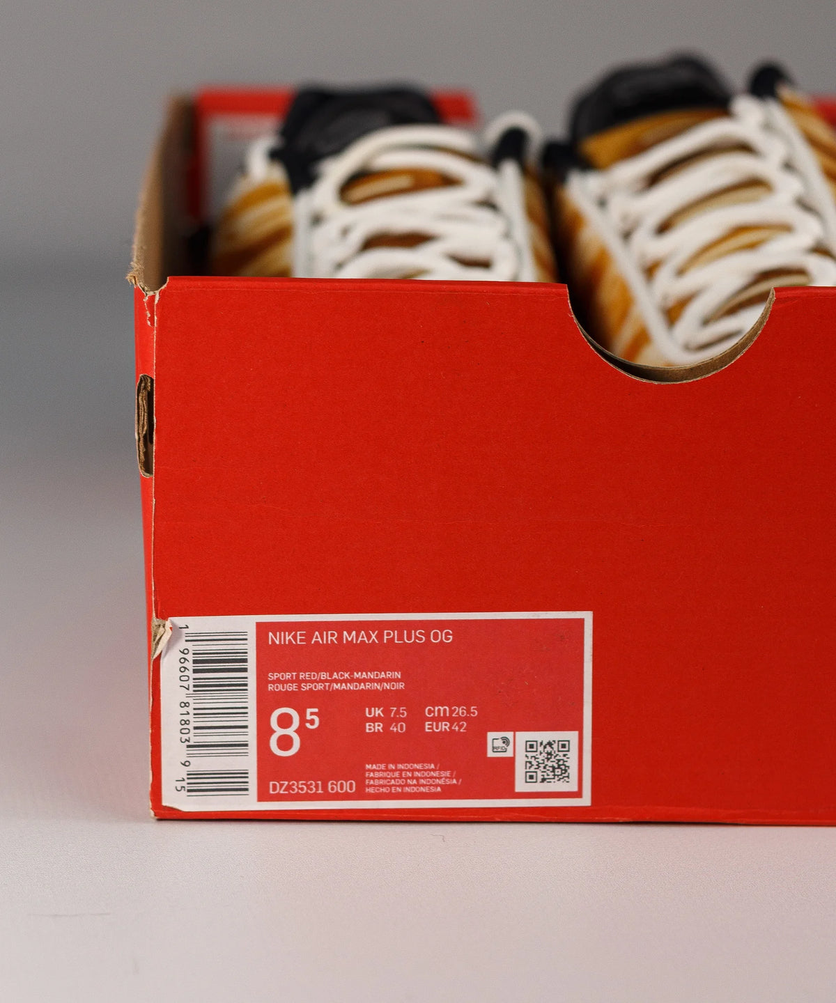 Nike Air Max TN+ Plus Light Photography