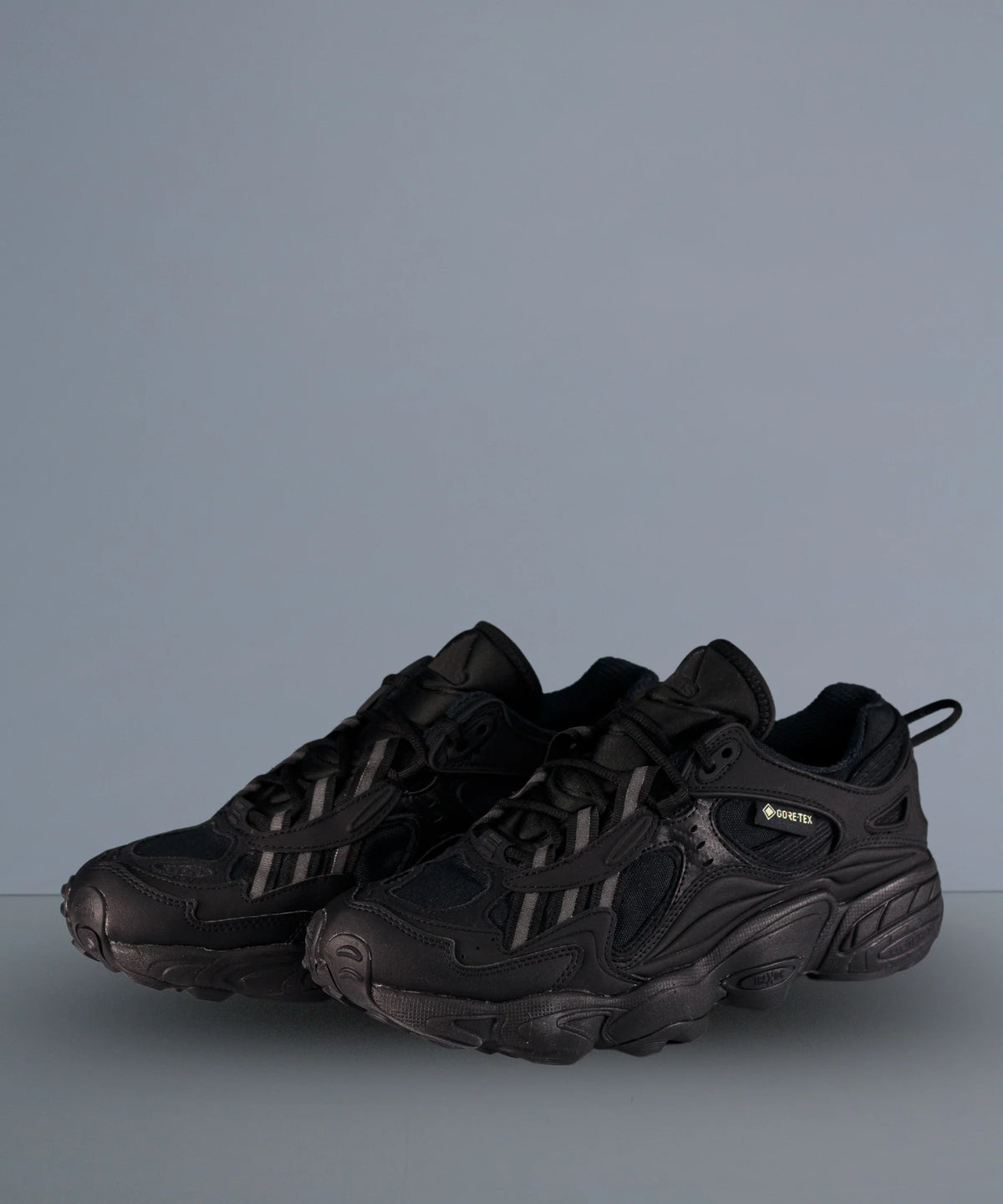 Adidas Cadiant FYW Gore-Tex Full Black