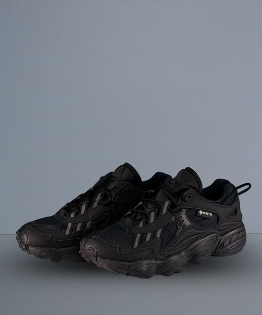 Adidas Cadiant FYW Gore-Tex Full Black
