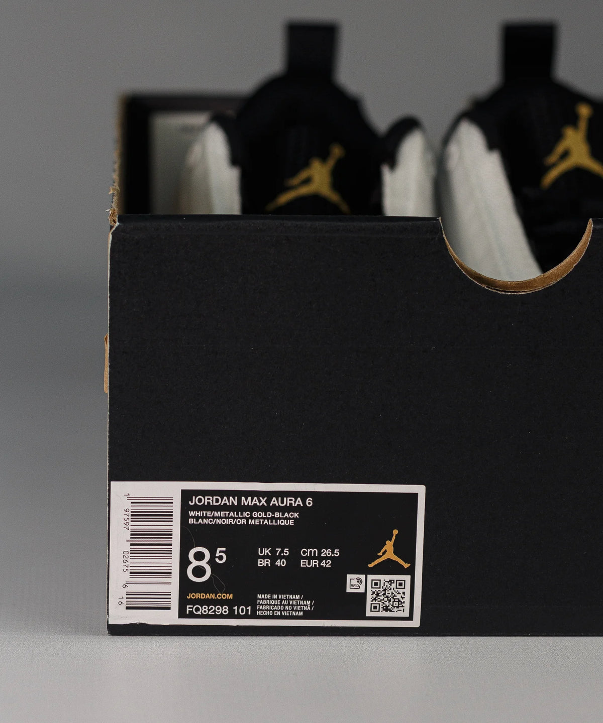 Nike Air Jordan Max Aura 6 White & Black